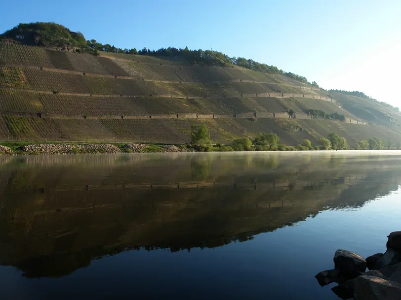 Weingut & Gästehaus Martin Prüm in Brauneberg